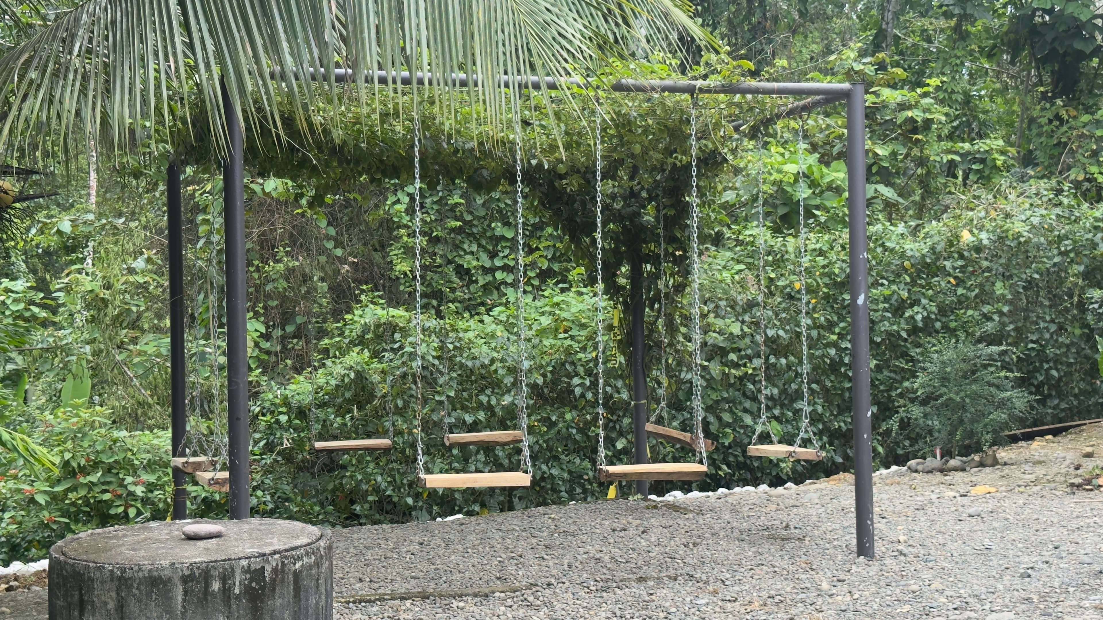 The swings at the edge of the jungle